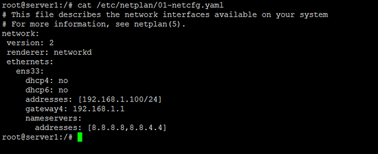 Ubuntu neetwork configuration with netplan